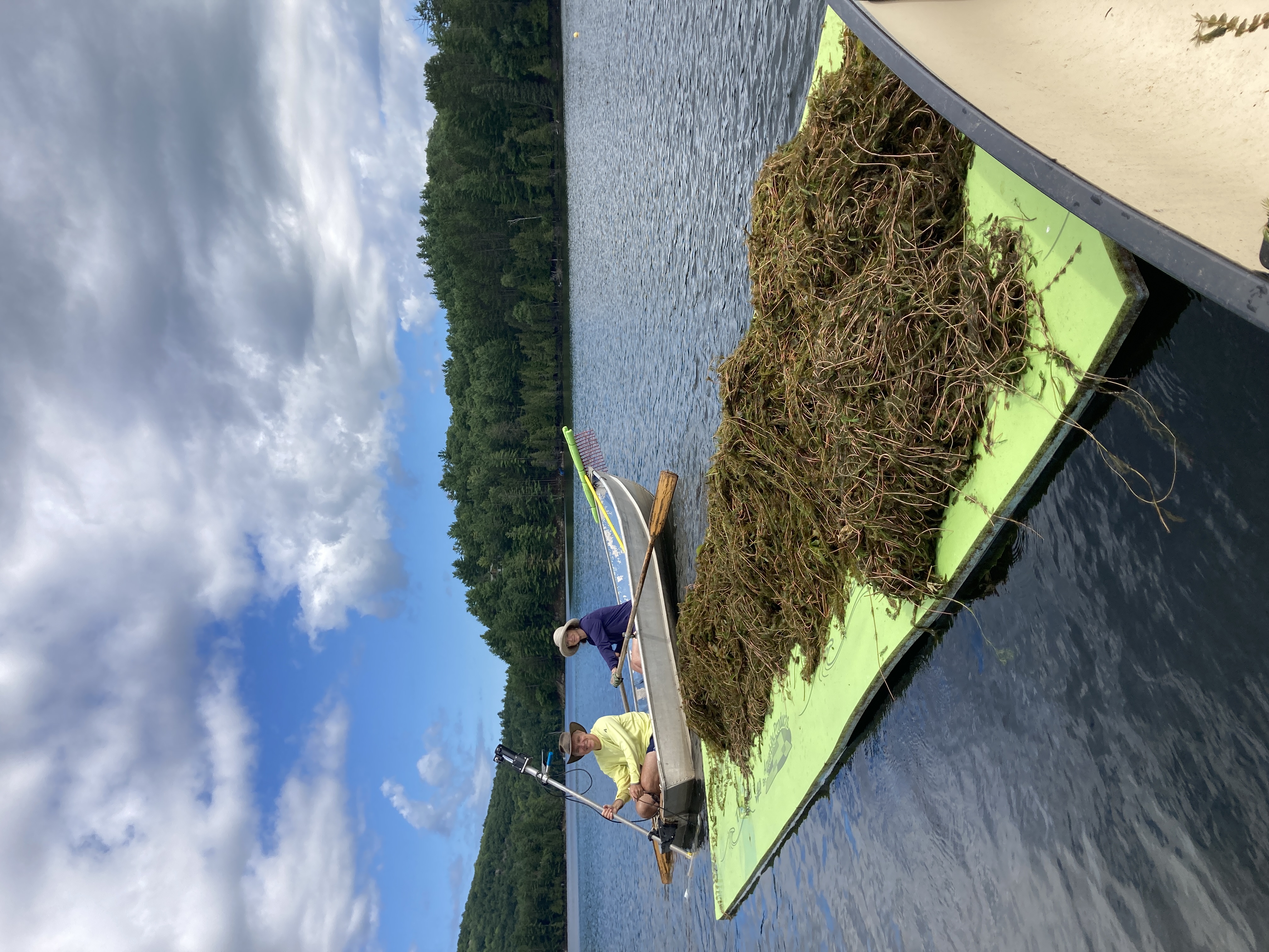 weed team at work on the lake